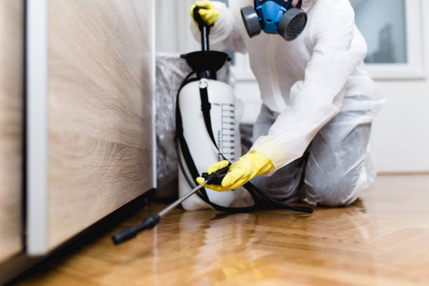 Best Flea Control Services  in Russiaville, IN