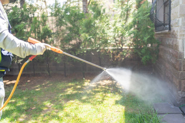 Professional Pest Control in Russiaville, IN
