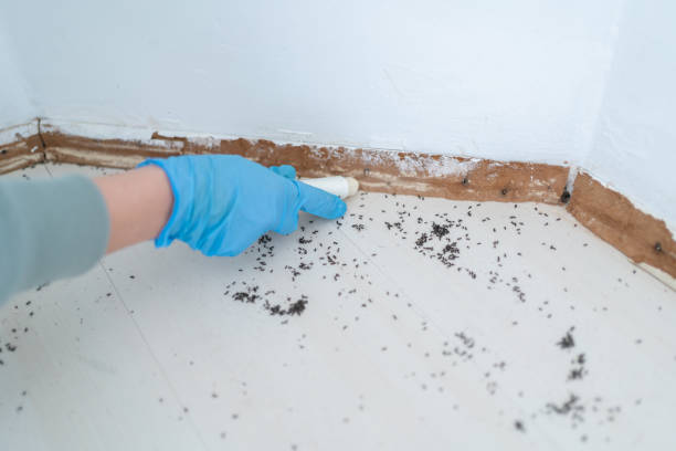 Best Pest Control Near Me  in Russiaville, IN
