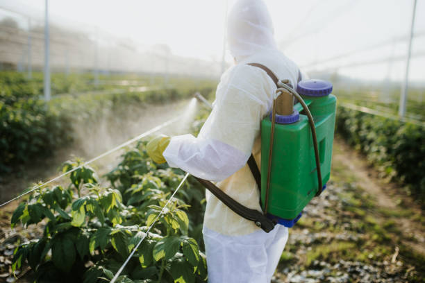 Best Affordable Pest Control Services  in Russiaville, IN